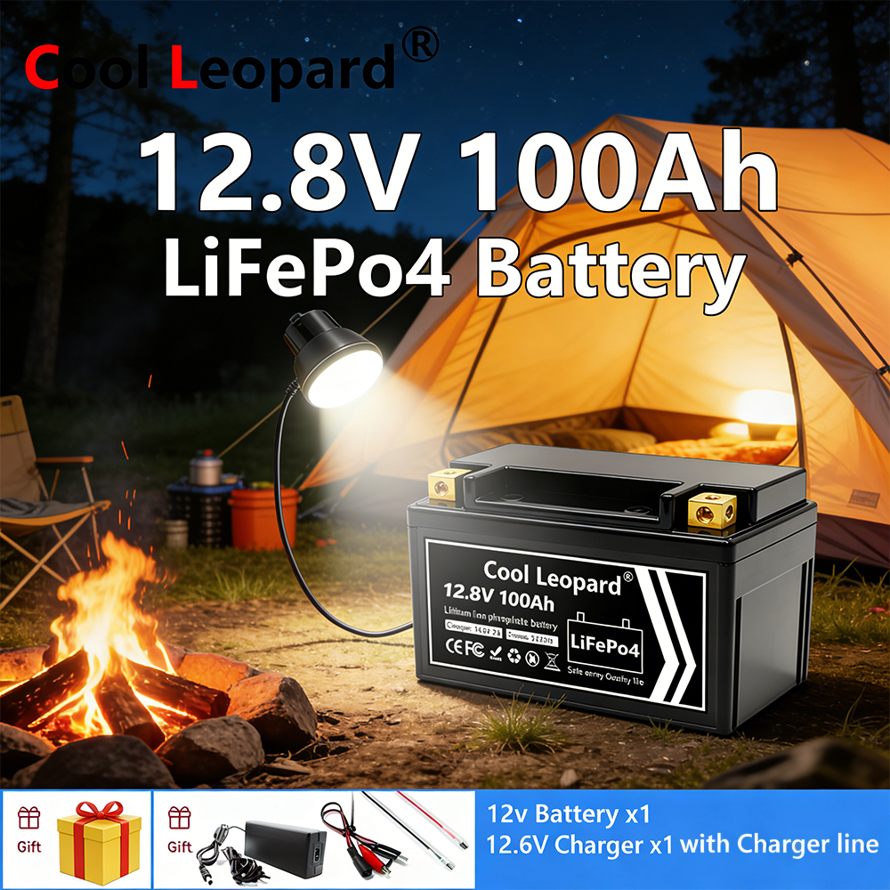 Lightweight 12V 100Ah LiFePO4  – обзор и цена Fish Finder Charger